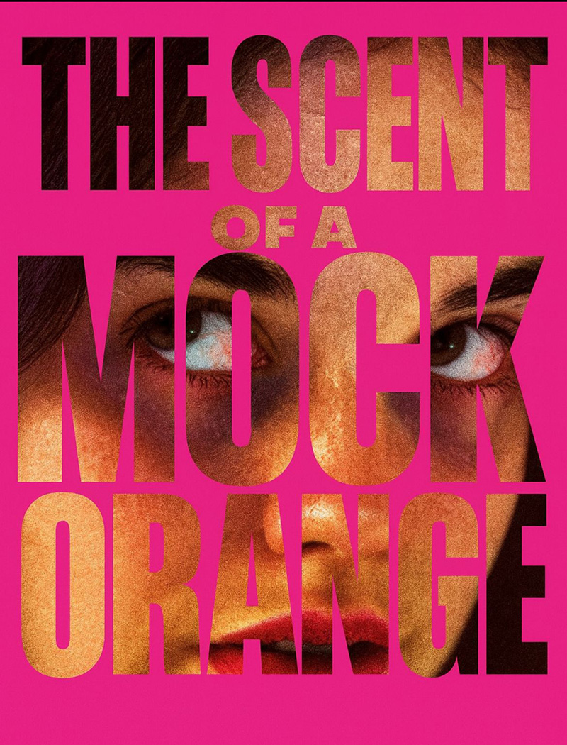 The Scent of a Mock Orange - Cork Arts Theatre