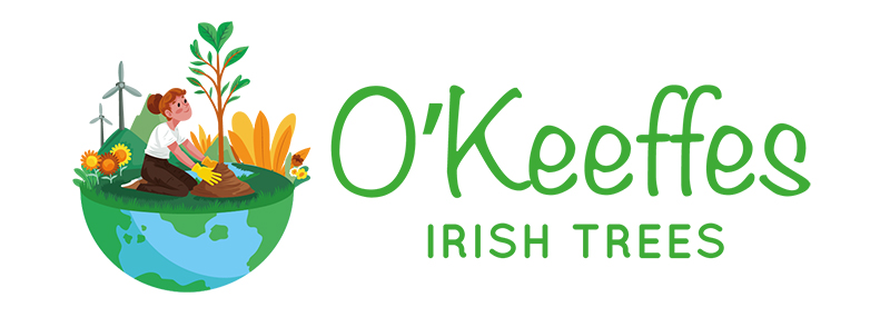 O'Keeffe's Irish Trees